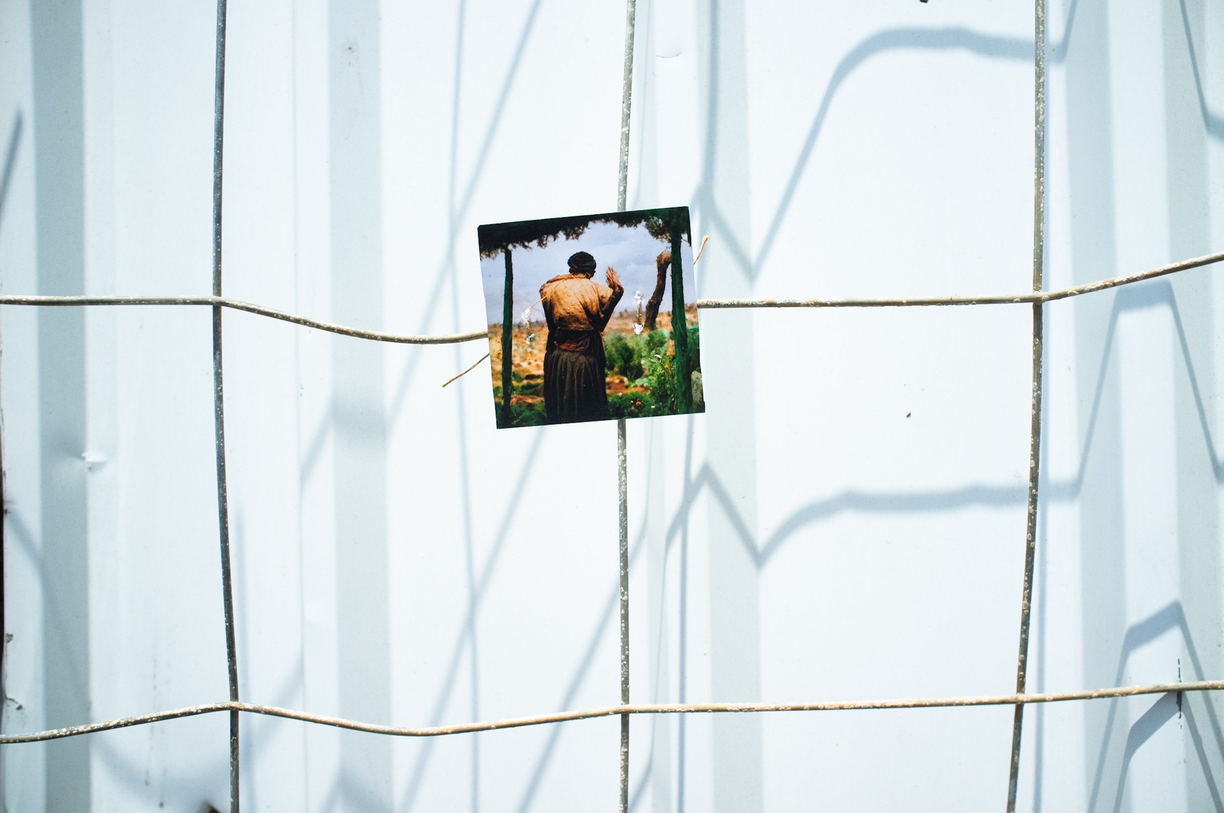 Into the Bushes. Claudia, Gura and Roee. 2024