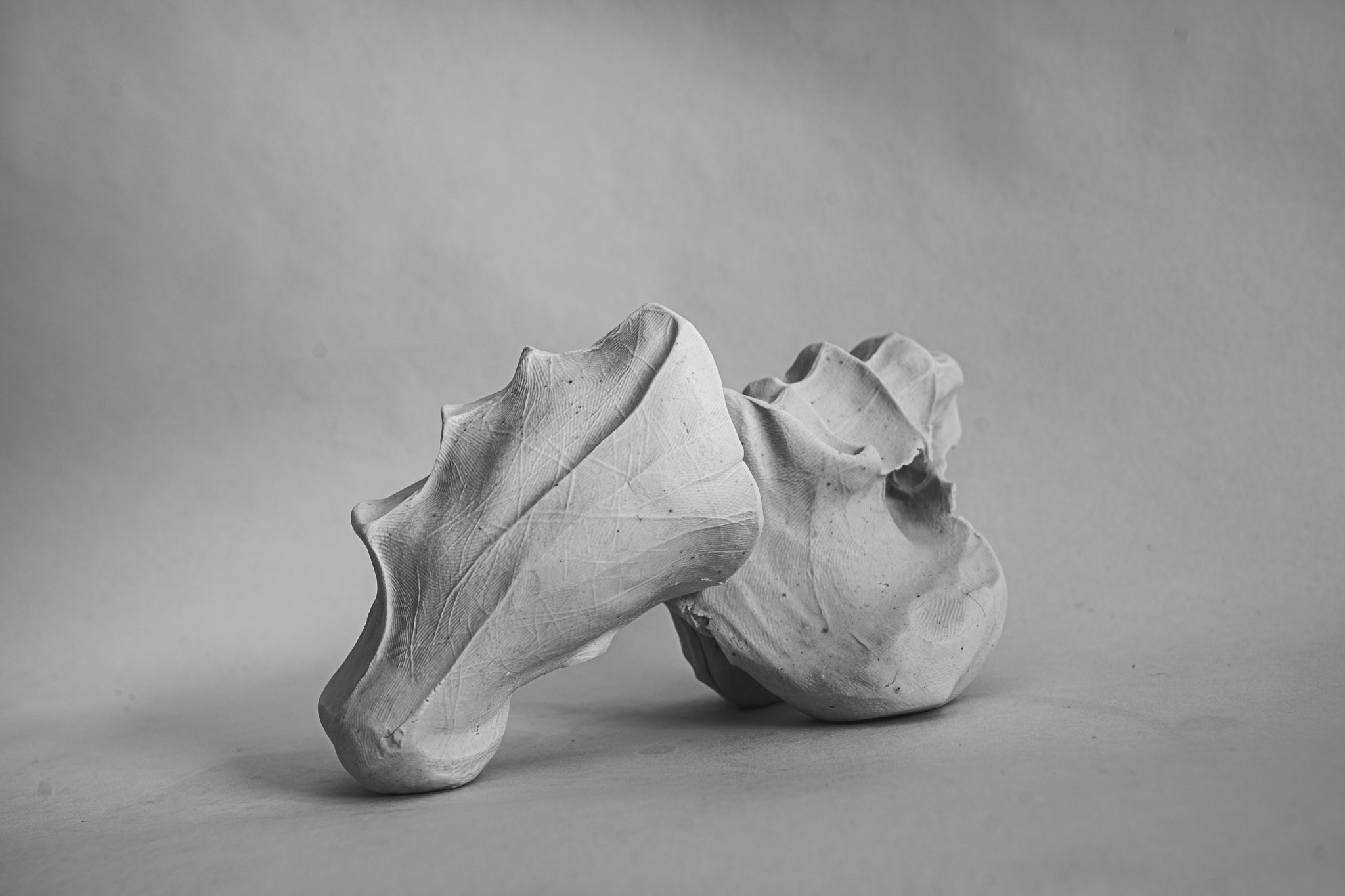 Excercise for body complication prevention #14. Claudia, Gura and Roee.  2024